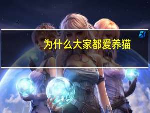 为什么大家都爱养猫