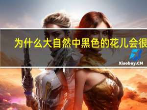 为什么大自然中黑色的花儿会很少？