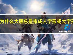 为什么大雁总是排成人字形或大字形飞呢