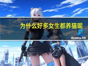 为什么好多女生都养猫呢