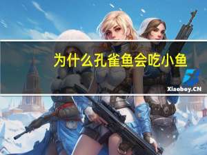 为什么孔雀鱼会吃小鱼