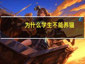 为什么学生不能养猫