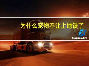 为什么宠物不让上地铁了