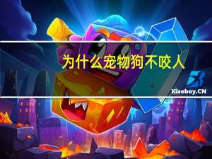 为什么宠物狗不咬人