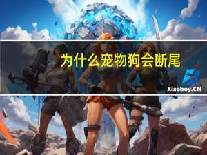为什么宠物狗会断尾