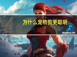 为什么宠物狗更聪明