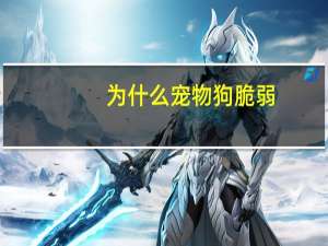 为什么宠物狗脆弱