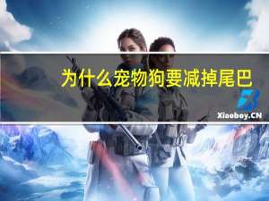 为什么宠物狗要减掉尾巴
