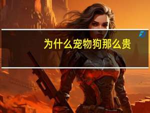 为什么宠物狗那么贵
