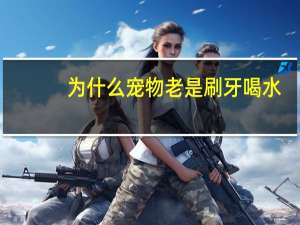 为什么宠物老是刷牙喝水