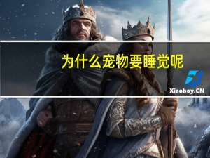 为什么宠物要睡觉呢