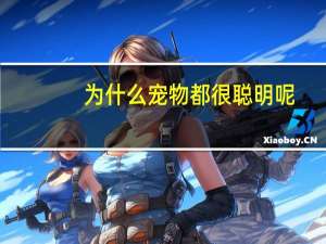 为什么宠物都很聪明呢
