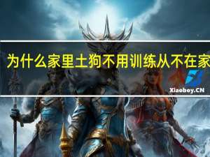 为什么家里土狗不用训练从不在家拉屎