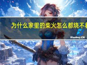 为什么家里的柴火怎么都烧不着