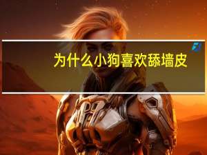 为什么小狗喜欢舔墙皮