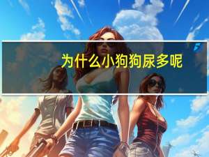 为什么小狗狗尿多呢