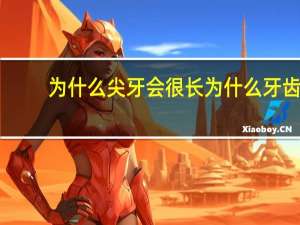 为什么尖牙会很长 为什么牙齿长到一定长度就停止了呢