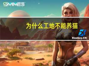 为什么工地不能养猫