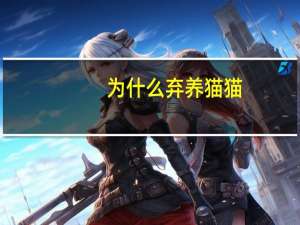 为什么弃养猫猫