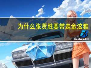 为什么张贤胜要带走金泫雅？