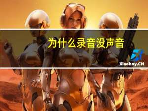 为什么录音没声音
