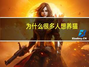 为什么很多人想养猫