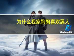 为什么我家狗狗喜欢舔人