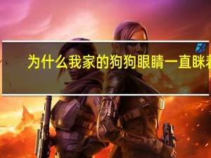 为什么我家的狗狗眼睛一直眯着