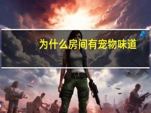 为什么房间有宠物味道