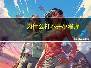 为什么打不开小程序（为什么打不开网页）