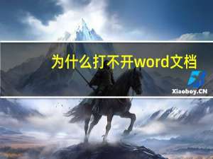 为什么打不开word文档