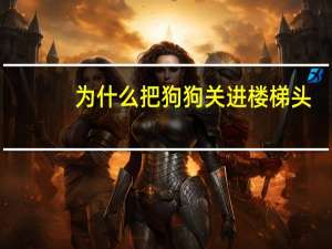 为什么把狗狗关进楼梯头