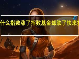 为什么指数涨了指数基金却跌了 快来探个究竟