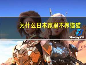 为什么日本家里不养猫猫