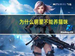 为什么明星不能养猫咪