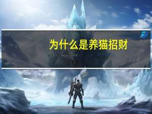 为什么是养猫招财