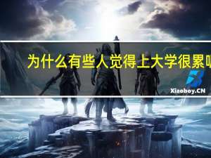 为什么有些人觉得上大学很累呢？