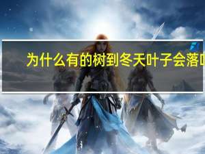 为什么有的树到冬天叶子会落叶