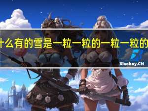 为什么有的雪是一粒一粒的 一粒一粒的雪叫什么