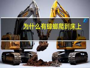 为什么有蟑螂爬到床上（为什么有蟑螂）