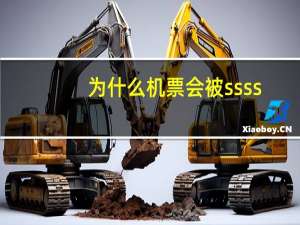 为什么机票会被ssss