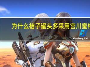 为什么桔子罐头多采用宫川蜜桔