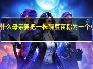 为什么母亲要把一株豌豆苗称为一个小花园呢