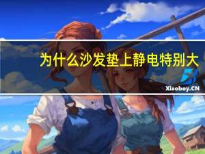 为什么沙发垫上静电特别大