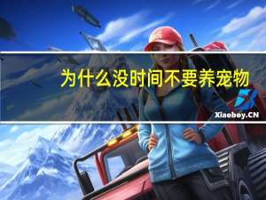 为什么没时间不要养宠物