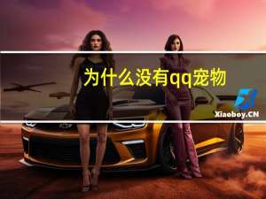 为什么没有qq宠物