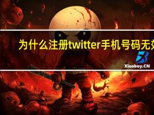 为什么注册twitter手机号码无效