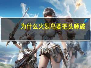 为什么火烈鸟要把头啄破