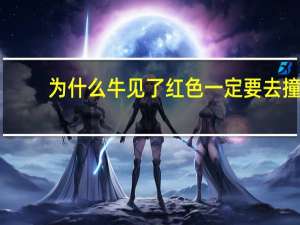 为什么牛见了红色一定要去撞