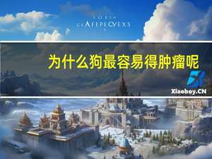为什么狗最容易得肿瘤呢
